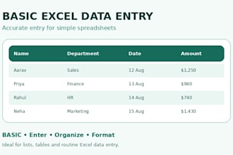excel data entry and spreadsheet formatting