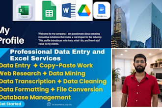 be your virtual assistant for web research,copy pasting,data entry,data mining