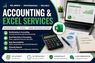 create professional accounting and excel bookkeeping services for
