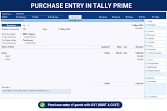 do professional tally data entry and bookkeeping and accounting tasks