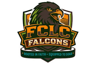 create high quality and beautiful falcon logo design