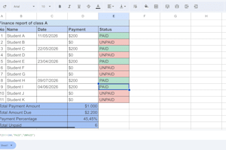 perform professional data entry, excel, and spreadsheet