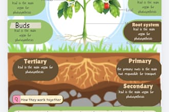do graphic design as publication materials, and infographic