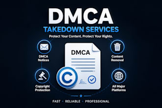 provide professional dmca takedown and copyright infringement services