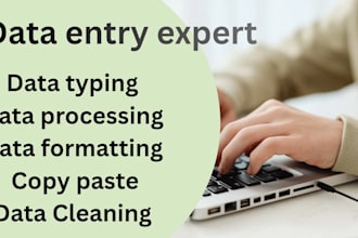 do data entry, data processing and data formatting