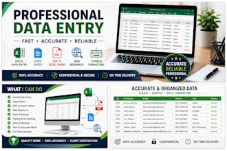 do accurate data entry, excel data entry and web research