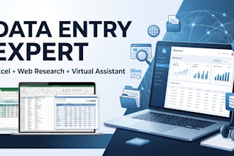 provide accurate data entry, web research, excel and virtual assistant services