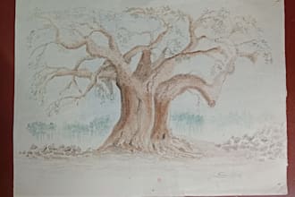 draw custom digital illustration and hand drawn art