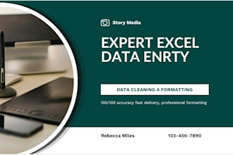 do professional excel data entry, formatting and data cleaning