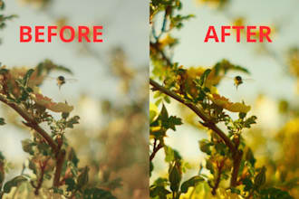 professionally edit and color grade your photos