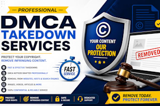 provide professional dmca takedown services