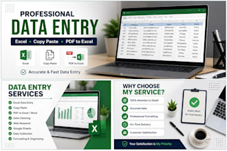 do data entry and data cleaning