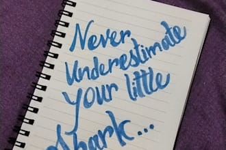 write your text in neat english handwriting
