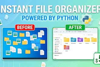 build an automated python script for file organization