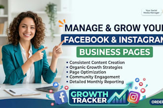 targeted facebook and instagram ads campaign