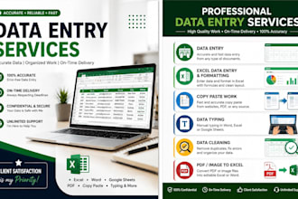 do accurate data entry and excel data formatting