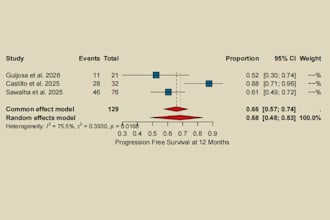 conduct meta analysis for medical research