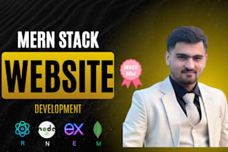 build mern stack web application, mern stack website developer