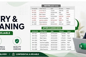clean, organise and enter data in excel spreadsheets