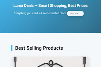 build a custom ecommerce website with cart and checkout