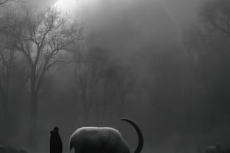 make scary horror creature and fantasy character concept art