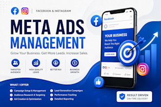 create and manage facebook instagram ads for lead generation