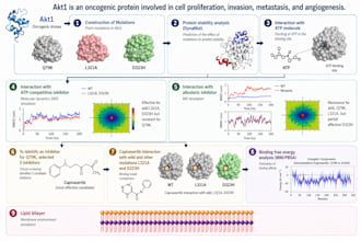 do molecular docking and MD simulation with manuscript