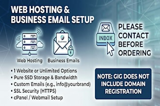setup web hosting and professional business email