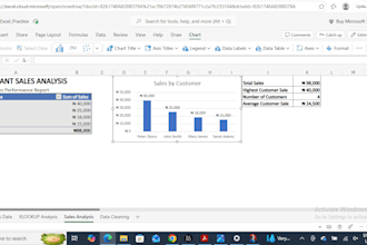 create excel data analysis, pivottables and reports