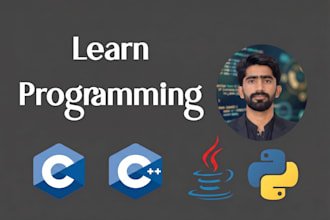 teach java, cpp, python and dsa from beginner to advanced