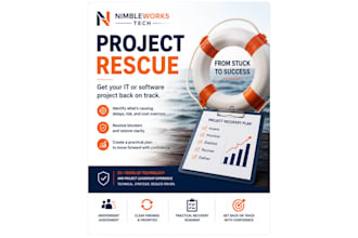 assess and rescue your struggling IT or software project