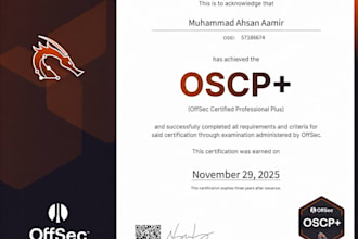 perform a professional website pentest