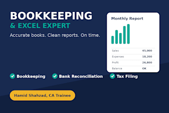 do professional bookkeeping, tax filing and excel reports