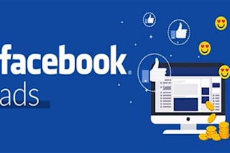 manage facebook ads for lead generation and PPC campaigns