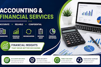 provide professional internal audit and financial analysis services