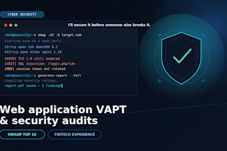 penetration testing and vapt for your website