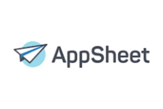 a custom google appsheet, goodbarber, stacker classic app for your business