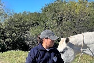 write your wildlife or exotic animal veterinary clinical report