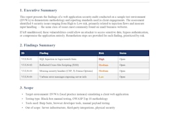 perform a website security audit and vulnerability assessment