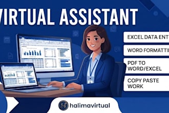 do professional excel data entry, word formatting, and PDF conversion