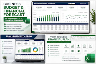 create a professional business budget and financial forecast