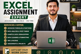 do your microsoft excel ,ms word assignments, projects and modules urgently