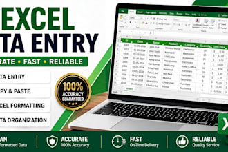 do accurate excel data entry and spreadsheet data entry