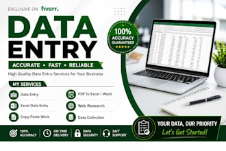 do expert data entry and ms excel work