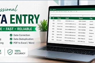 do accurate data entry, logo design and creative poster design for you