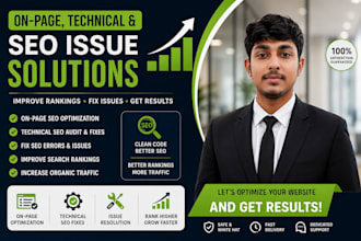 perform professional website audit for on page and technical seo and implement