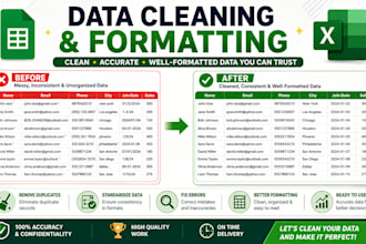 ms excel data cleaning and formatting,