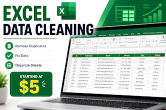 clean, organize and format your excel spreadsheet