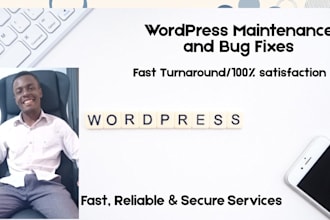 fix wordpress bugs, errors and layout issues fast