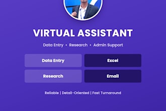 be your virtual assistant for data entry and admin tasks
